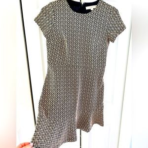 LOFT Dress Size 4P